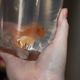 Image for article titled A Same-Day Delivery Startup Brought Me a Fish We Both Assumed Would Die